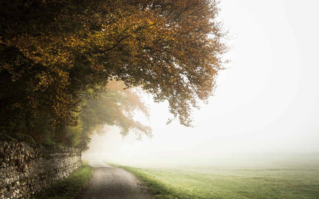 Clearing Away the Fog to Uncover True Leadership Development
